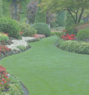 云呼试用三分钟