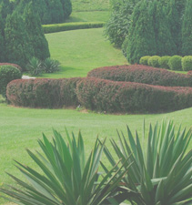 短信测试网站免费