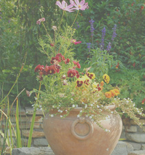 免费短信轰炸机